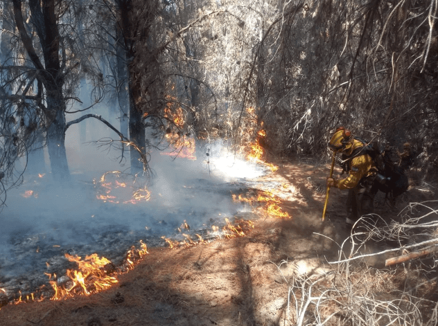 Esperan lluvias en Chubut para aliviar los incendios que ya arrasaron más de 30 mil&nbsp;hectáreas