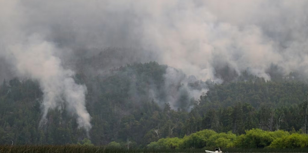 La lucha contra el fuego no da tregua en los bosques del sur ante el avance de las&nbsp;llamas