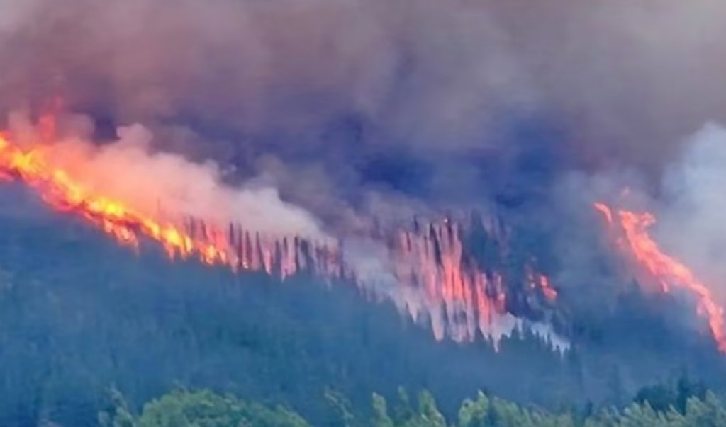 Desastre ambiental en la Patagonia por el avance descontrolado del fuego en zonas de&nbsp;bosque