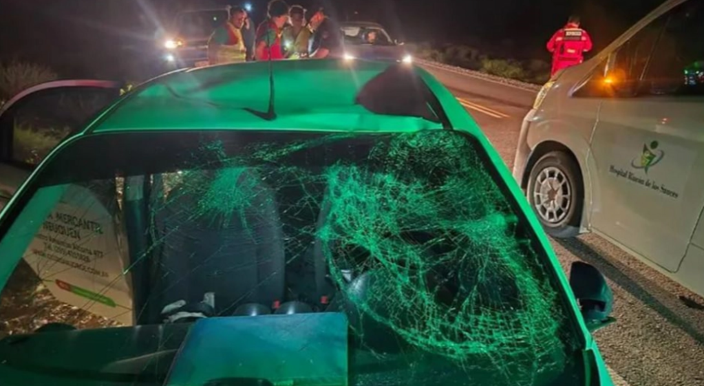 Un auto chocó contra un caballo en una ruta de la Patagonia y hubo heridos