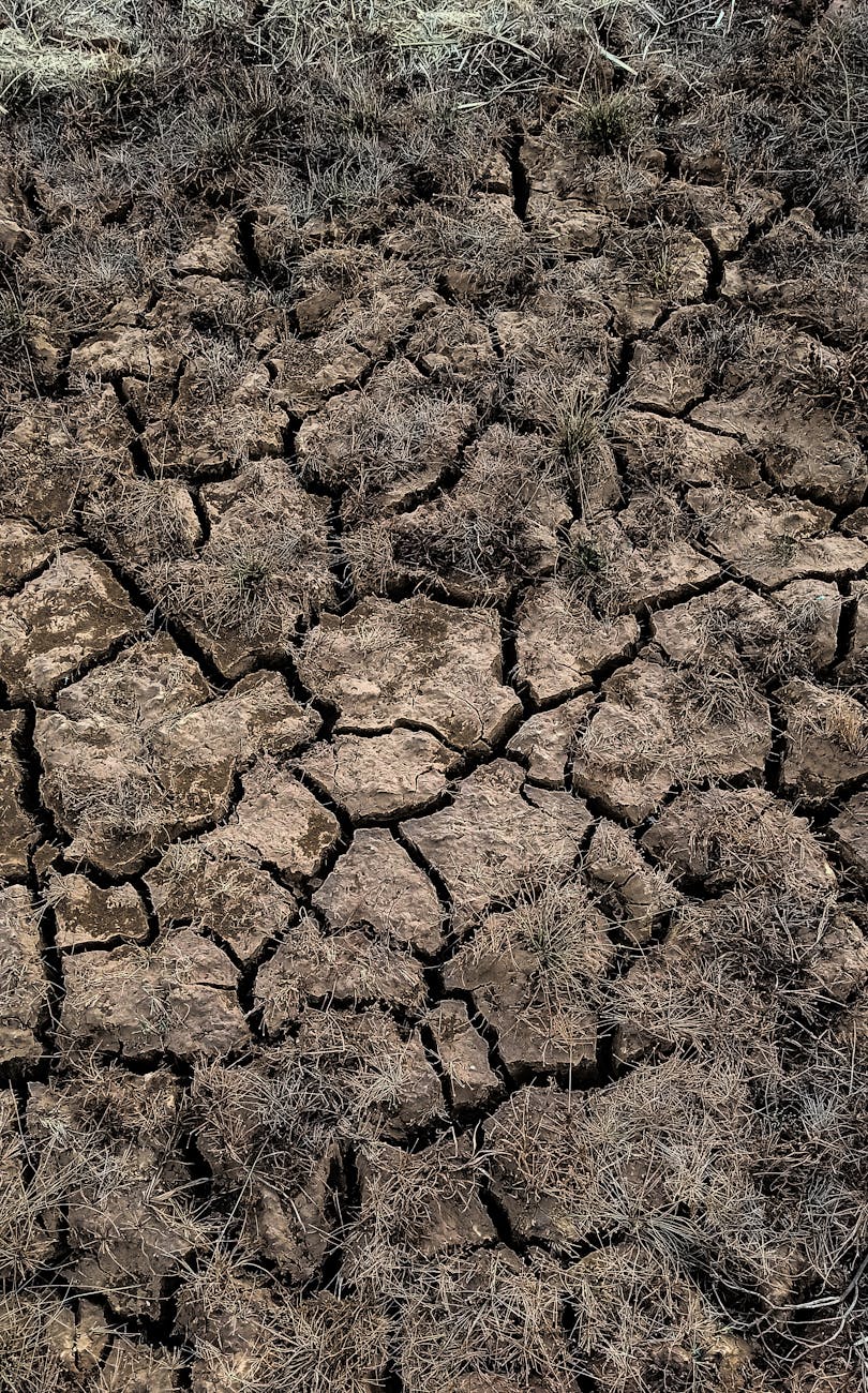 Gobierno declara emergencia agropecuaria en tres provincias&nbsp;afectadas