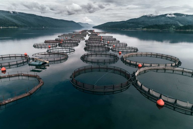 Tierra del Fuego se integra a nuevas oportunidades de inversión en acuicultura en el marco del impulso nacional al desarrollo&nbsp;productivo