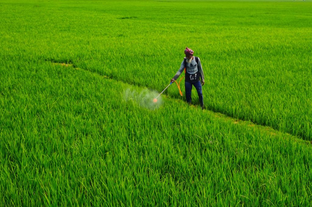 Authence: nueva molécula herbicida de Syngenta ya disponible en mercado