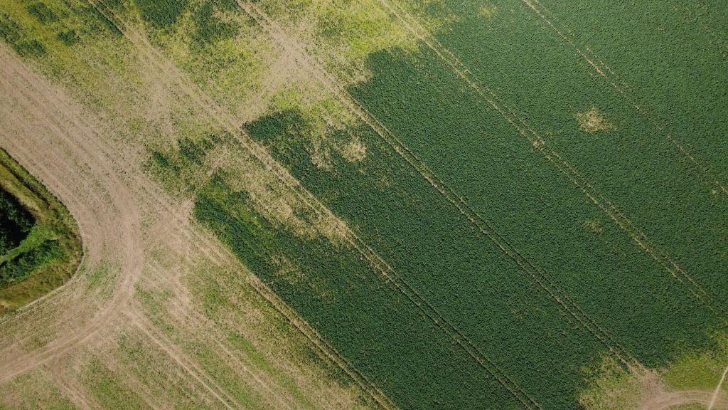Paradigmas agrícolas en cuestión: eficiencia con menos volumen&nbsp;químico