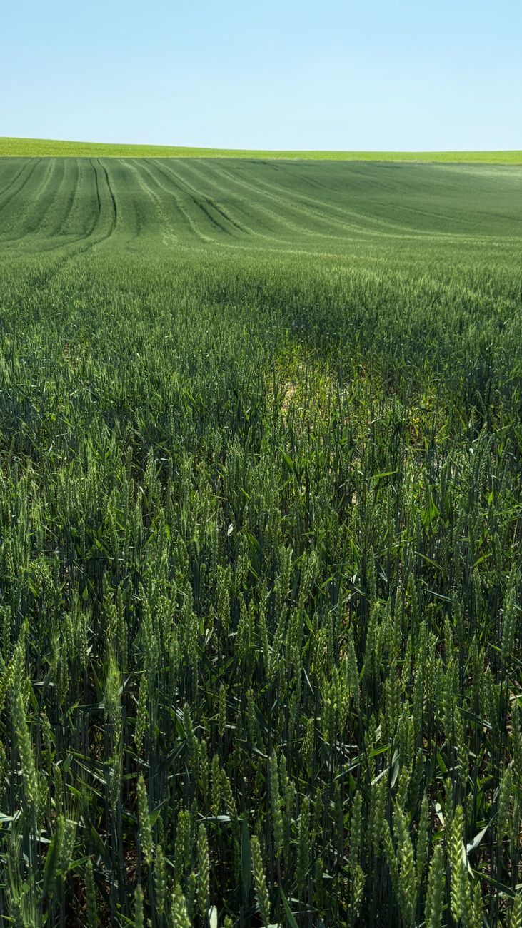 Superar la polarizacion en debates sobre&nbsp;agricultura