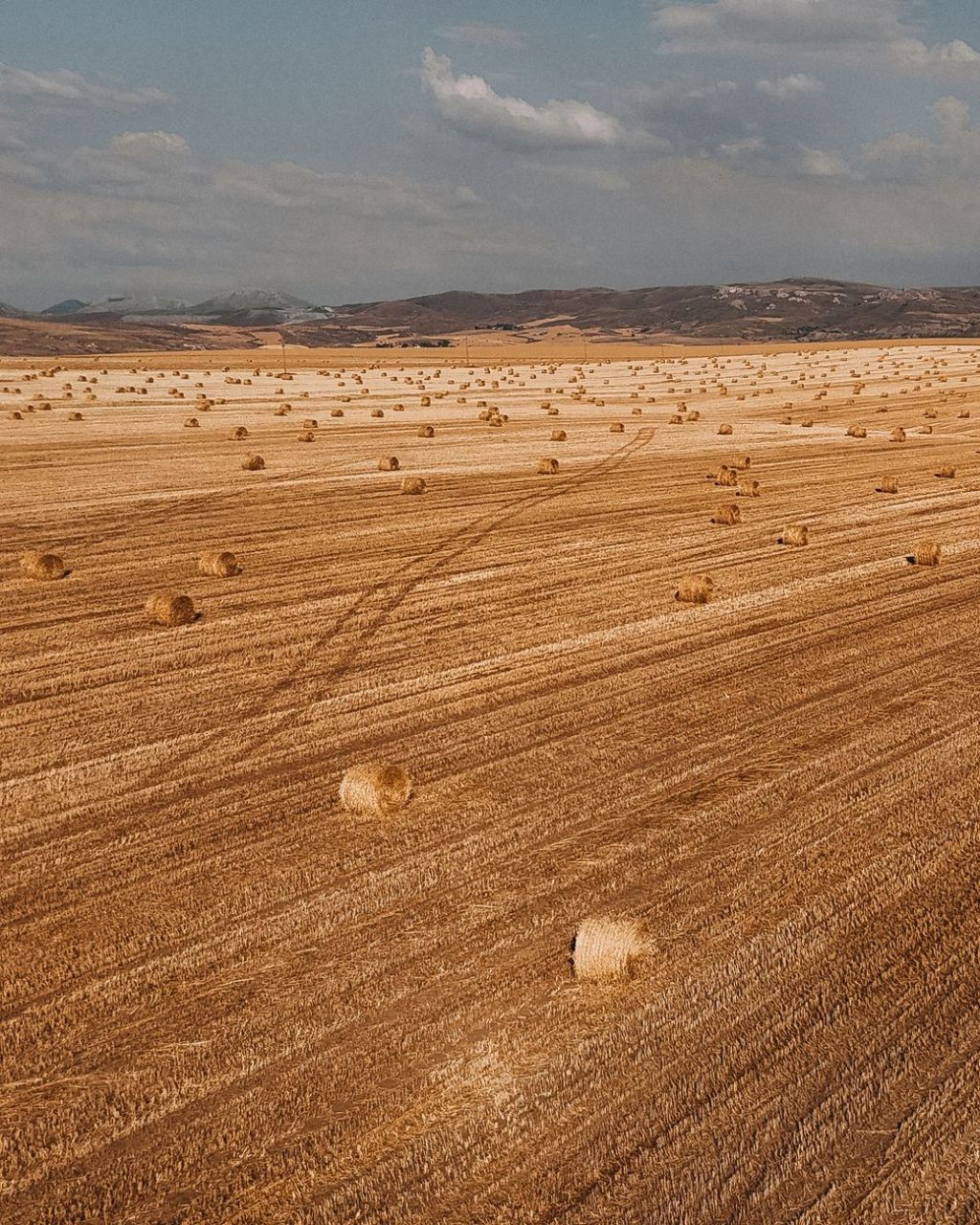 Corrientes: créditos para el agro con tasa subsidiada y largo&nbsp;plazo