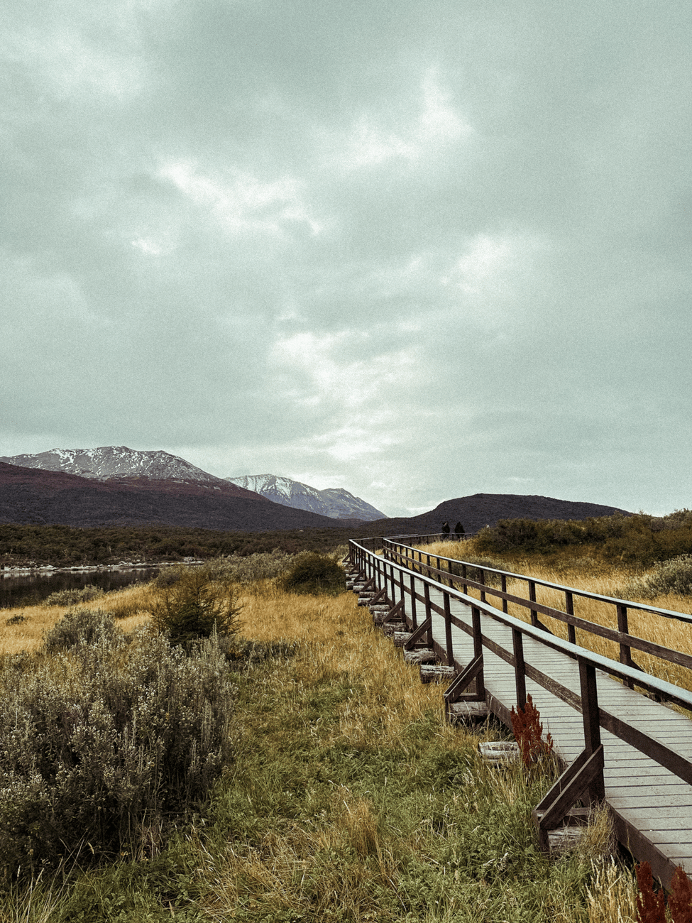 Estudio señala fallas en implementación de regulaciones en Tierra del&nbsp;Fuego