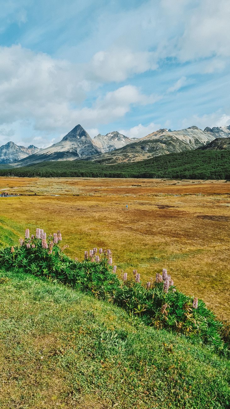 Tierra del Fuego: la Armada refuerza su presencia con más&nbsp;operaciones
